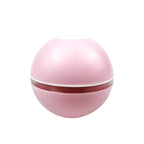Pet Induction Interactive Toy
